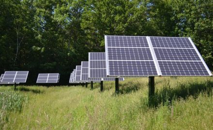 Photo courtesy Pixabay