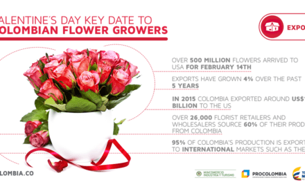 Valentine's day is an important date for Colombian exports (graphic courtesy ProColombia)