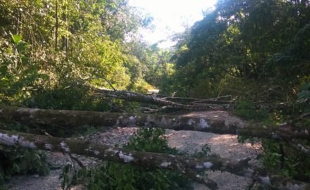 putumayo ecopetrol coca growers strike