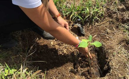 carrera verde bogota medellin grupo argos banco de bogota