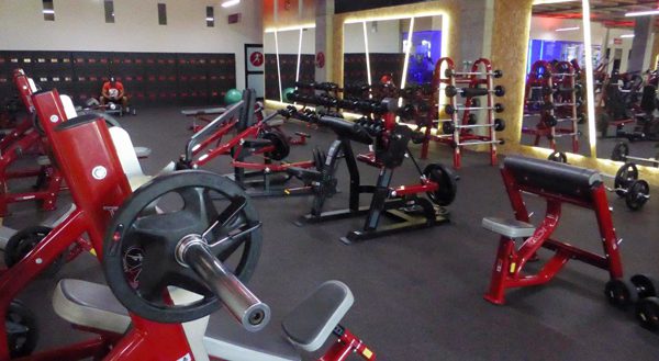 Action Fitness Alejandro Herrera Medellín colombia poblado gym