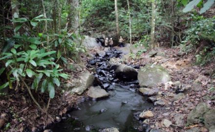 Guamalito disruption of the Caño Limón-Coveñas pipeline that cut oil production for Ecopetrol and damaged the environment. (Credit: Ecopetrol)