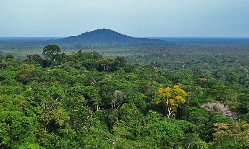 The Tropical Forest Alliance 2020 is looking to stop deforestation in parts of the Amazon, such as this swatch of jungle in the department of Vaupés near Mitú. (Credit: Jared Wade)
