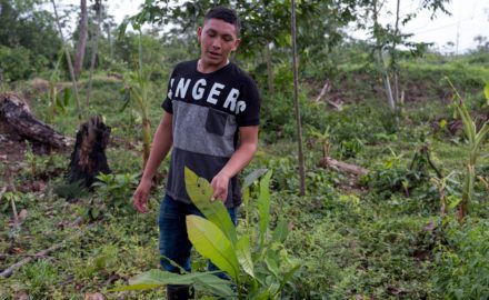 Photo: Ramón gives a tour of the land that his family owns, showing the diversity of flora that has been taken over by palm oil plantations. (Photo credit: Thom Pierce | Guardian | Global Witness | UN Environment)