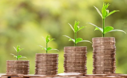 growth (Image credit: nattanan23 / Pixabay)