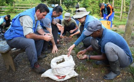 The UN Verification Mission in Colombia (UNVMC), with security and logistical support from the Colombian Armed Forces and help from some members of the FARC-EP (Revolutionary Armed Forces of Colombia-People's Army), cleared 750 of 998 FARC-EP arms caches. The operation required major logistical planning and effort, involving more than 40,000 kilometers travelled by helicopter, boat, land vehicles and horses. (Photo credit: United Nations / 13 August 2017, Bojayá, Colombia)
