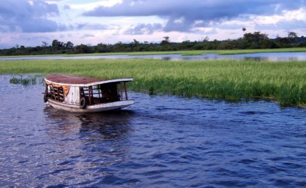 Amazon River photo credit alexaschmitz - Pixabay