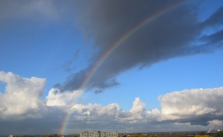 Photo credit: Kevin_John_Mauricio from Pixabay