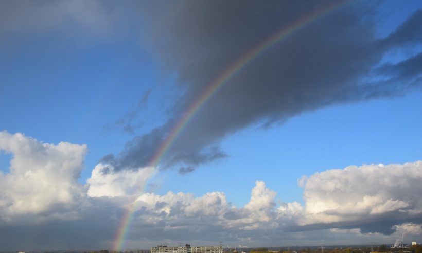 Photo credit: Kevin_John_Mauricio from Pixabay