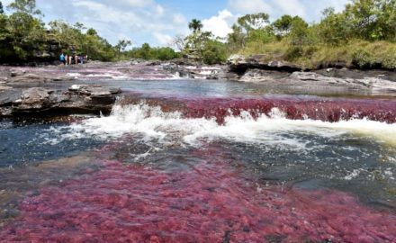 Caño Cristales river, Colombia