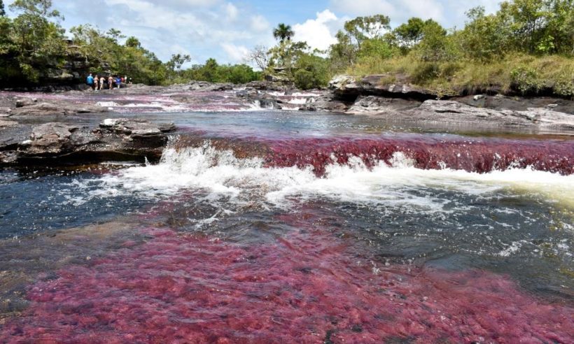 Caño Cristales river, Colombia