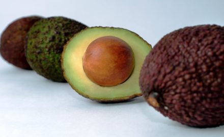 The Hass Avocado is known for its wrinkled skin and smaller size.