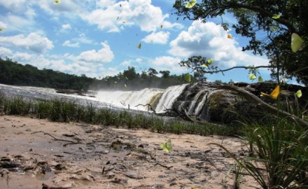 Photo credit Richard McColl, Flickr