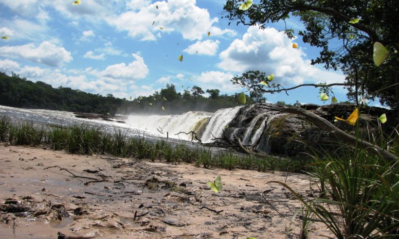 Photo credit Richard McColl, Flickr