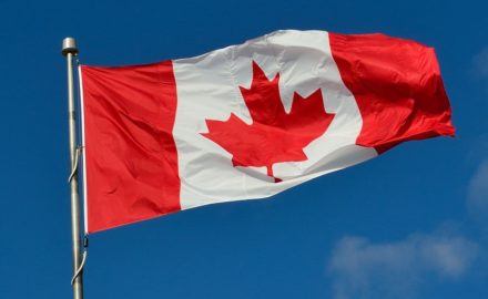 Image by ElasticComputeFarm from Pixabay