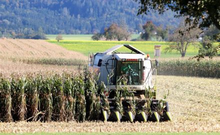 Image by Franz W. from Pixabay