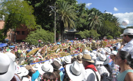 Medellín's Féria de las Flores. Photo credit: Loren Moss