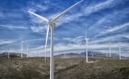 Image by enriquelopezgarre from Pixabay