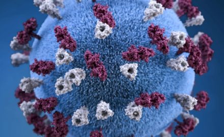 Image credit Tmaximumge