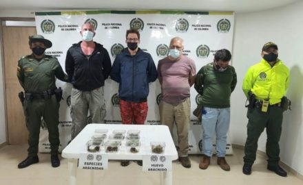 Behamin Sebastián Benedikt Weber, Auer Hans Werner Schmitz, Lucasz Tomasz Banas and Daniel Alejandro Calacaño Sánchez were charged with illegal use of renewable natural resources, violating borders for the purpose of exploiting natural resources, and trespassing in areas of special importance.