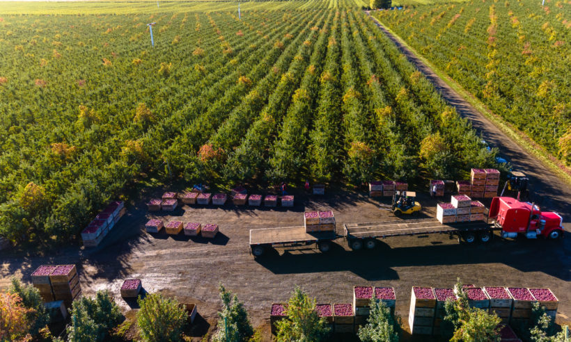 Photo courtesy Washington Apple Commission