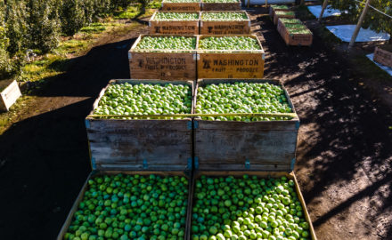 Photo courtesy Washington Apple Commission