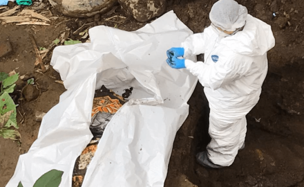 La policía judicial exhumó un cuerpo en un lote del barrio Los Naranjos de Armenia, para establecer si se trata de la señora Betty Vallejo Reyes.