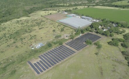Khiron's agricultural facilities in Ibagué, Tolima, Colombia