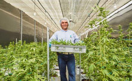 A Khiron agricultural technician in their Ibagué, Tolima facilities.