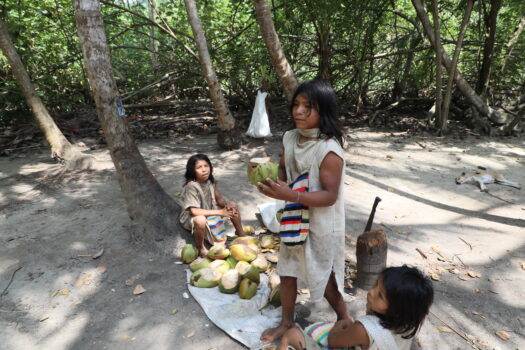 Kogui youths selling fresh coconut water in Tayrona National Park, Colombia