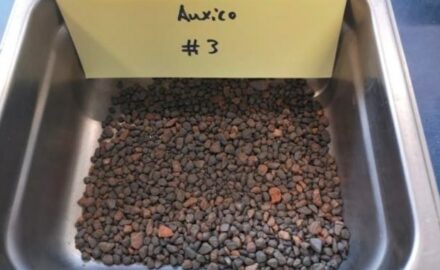 Selected sample from the tin-tantalum target area (CNW Group/Auxico Resources Canada Inc.)