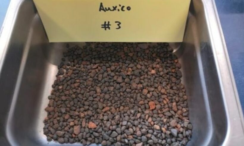 Selected sample from the tin-tantalum target area (CNW Group/Auxico Resources Canada Inc.)