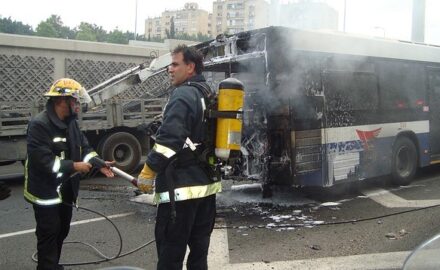 Image by PublicDomainPictures from Pixabay