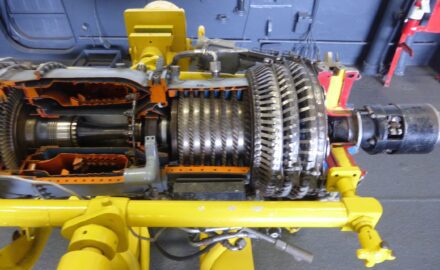 Photo credit Loren Moss