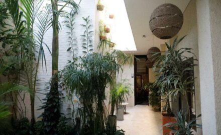 Soy Local Insignia interior