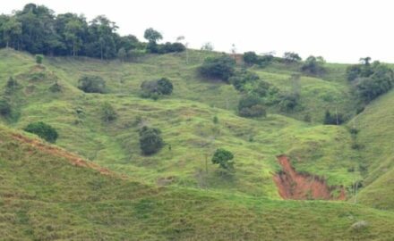 Quimbaya Gold is focused on Berrio project in Antioquia, Colombia, where the company controls over 1218 hectares of highly prospective high-grade gold. The project is 100% owned.