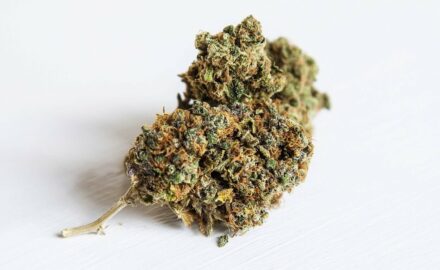 image by 4657743 from Pixabay