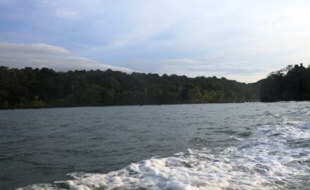 Colombia's Pacific Coast near Guachalito Beach, Chocó © Loren Moss 2017