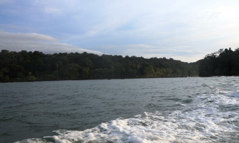 Colombia's Pacific Coast near Guachalito Beach, Chocó © Loren Moss 2017