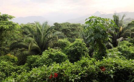 Photo: Sierra Nevada de Santa Marta © Loren Moss