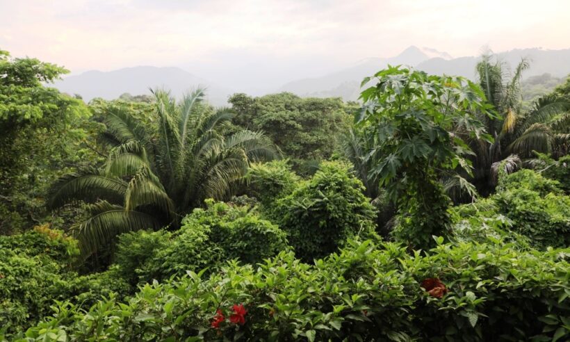 Photo: Sierra Nevada de Santa Marta © Loren Moss