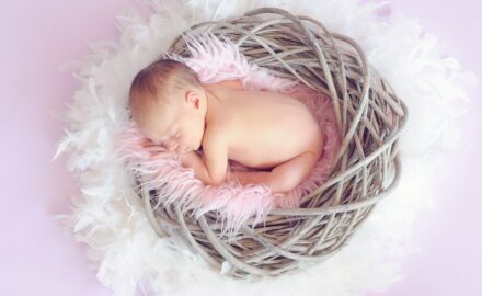 Image by Tawny Nina Botha from Pixabay