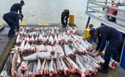 Photo courtesy of the Colombian Navy