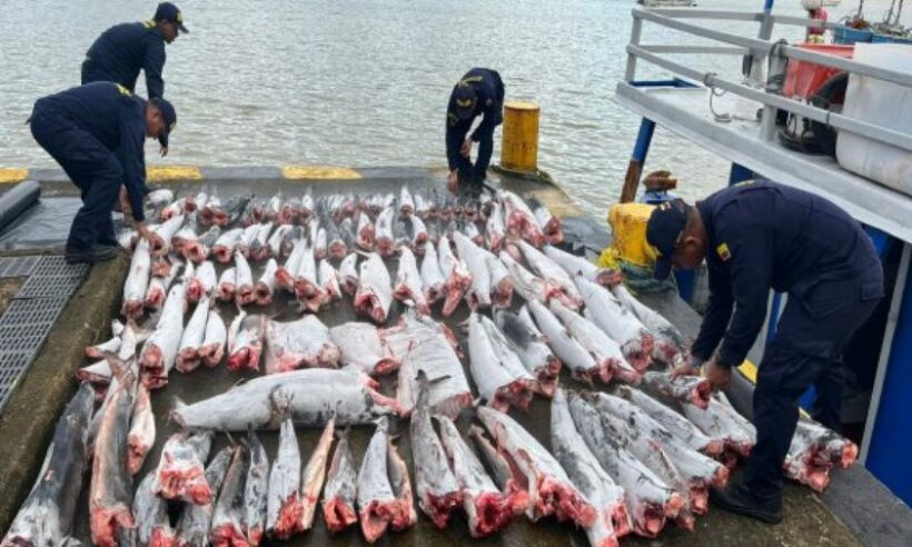 Photo courtesy of the Colombian Navy