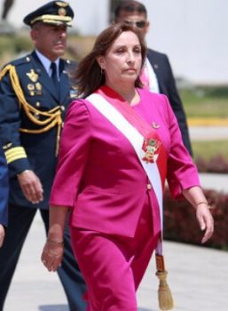 Castillo's failed self-coup led to Dina Boluarte being recognized as Peru's 1st female vice-president.