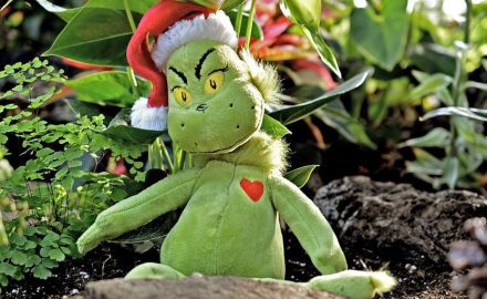 Image by ErikaWittlieb from Pixabay