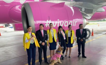 Making Sense Of The Players Competing To Acquire The Low Cost Carrier (photo: Loren Moss)