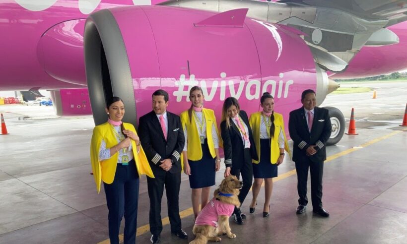 Making Sense Of The Players Competing To Acquire The Low Cost Carrier (photo: Loren Moss)