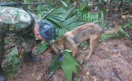 Colombian personnel continue the search for the missing children in Caquetá. (Photo: Aerocivil)