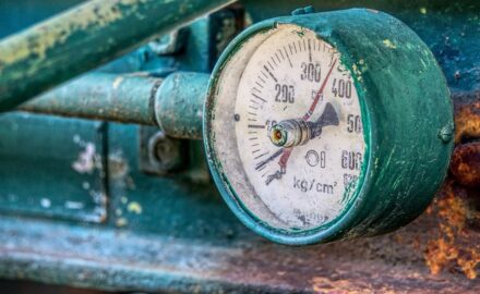 Image by Markus Distrelrath from Pixabay